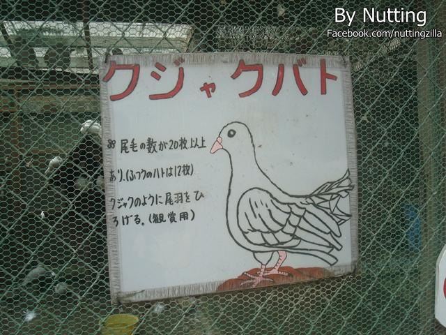 DSC04030.JPG